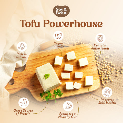 Soy & Bean Korean Tofu 500g (12 packs)
